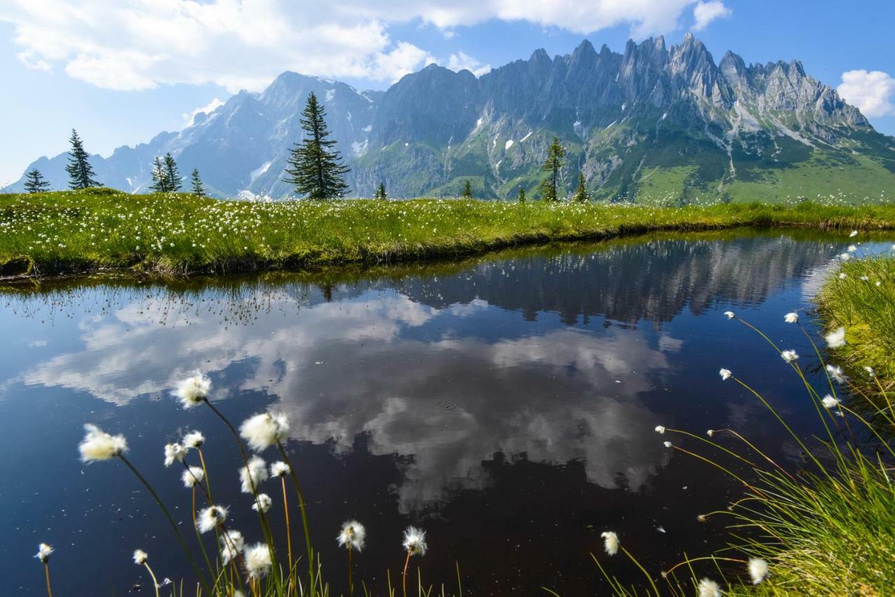 Alpenhof Schwaiger - Hotel Garni Mühlbach am Hochkönig Zewnętrze zdjęcie